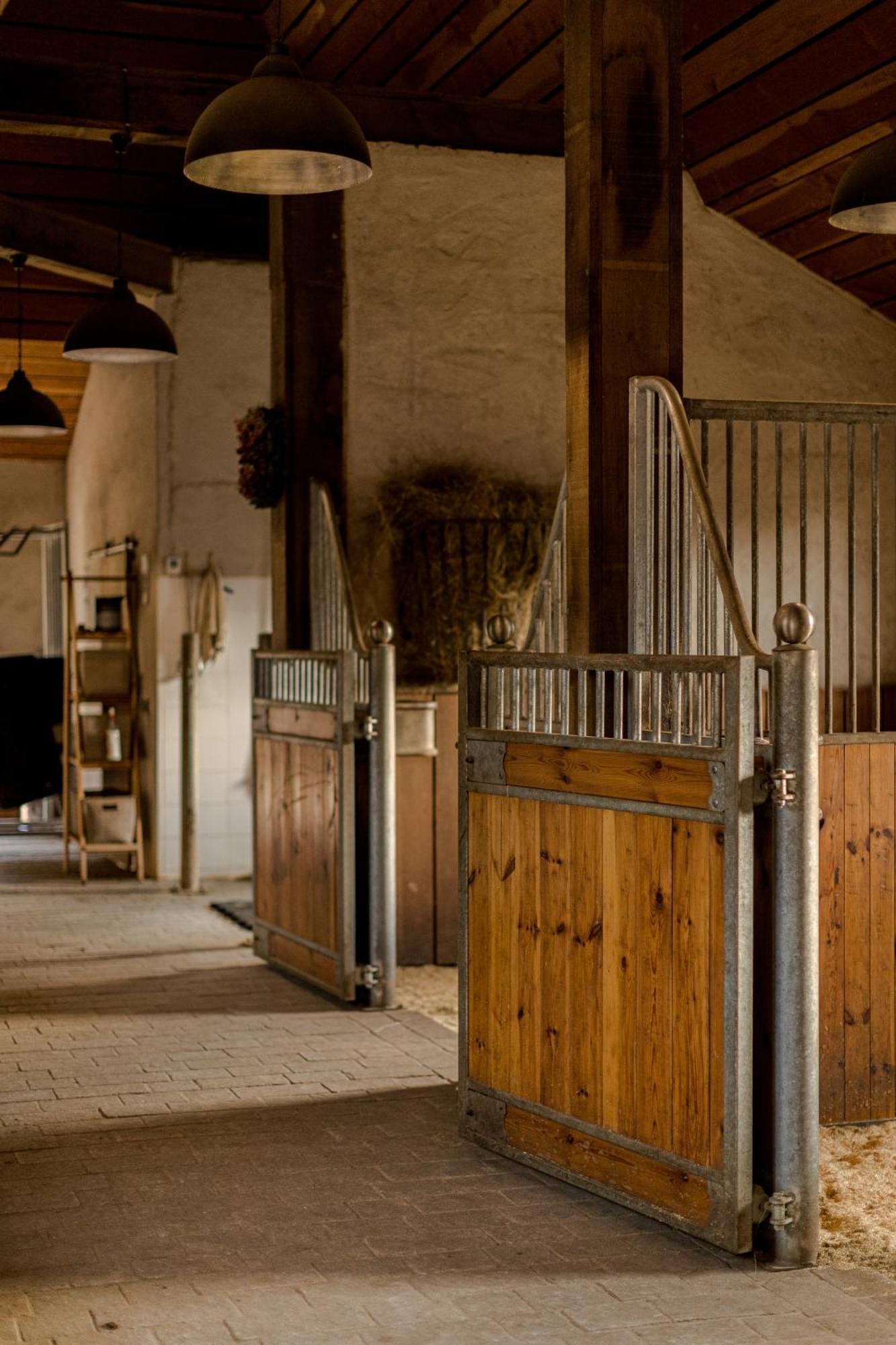 Auriac-du-Périgord Lalande-Laborie B&B 외부 사진